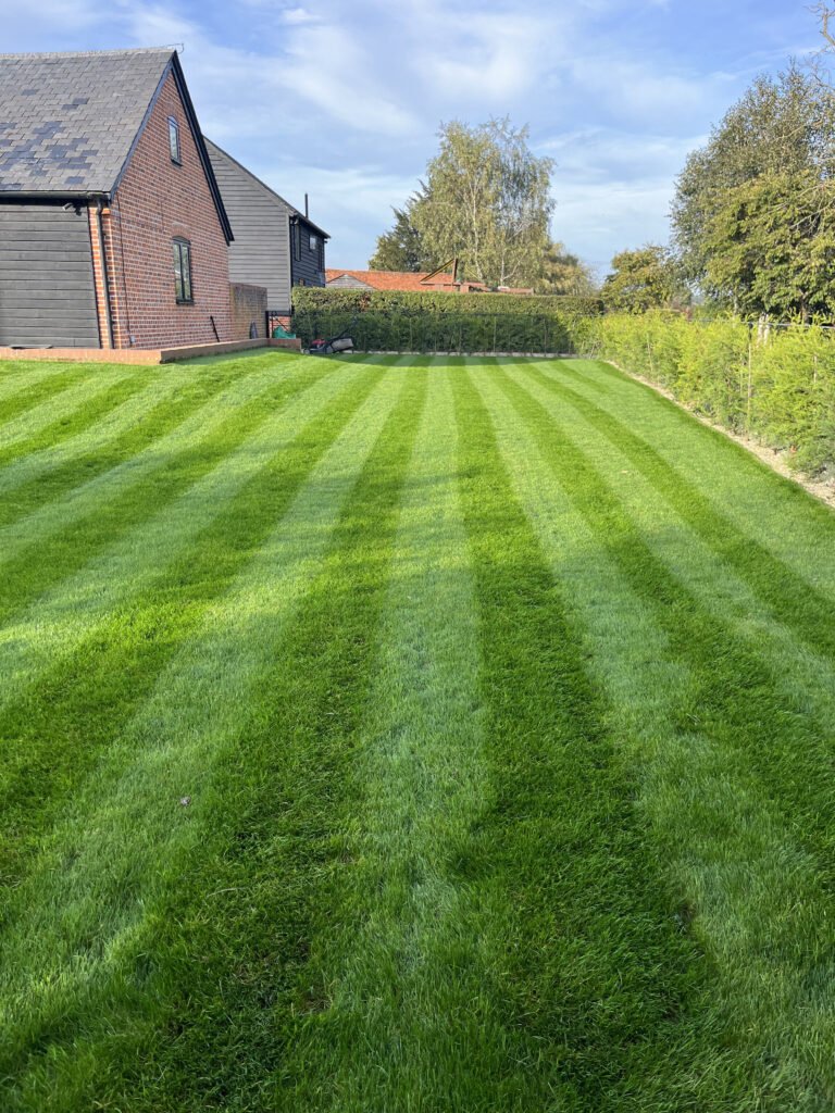 Cuttingedgelawncare Grass Cutting Grass Cutting 1