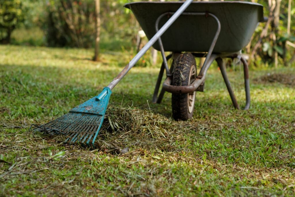 Garden Clean Up Services Scaled